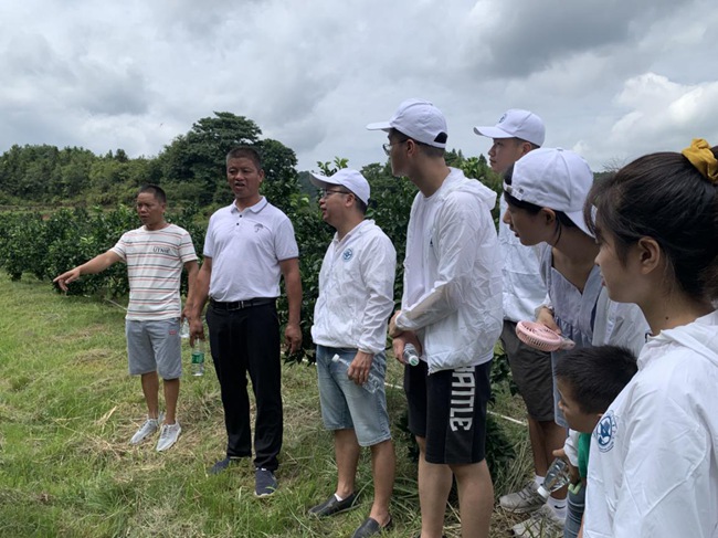 實踐隊在村主任伍玉炎帶領下參觀贛南臍橙種植園。福建船政交通職業(yè)學院供圖