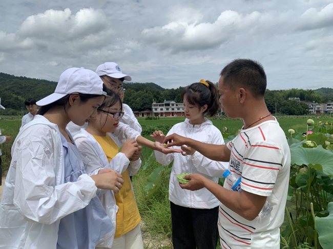 隊(duì)員參觀蓮子生產(chǎn)基地。福建船政交通職業(yè)學(xué)院供圖